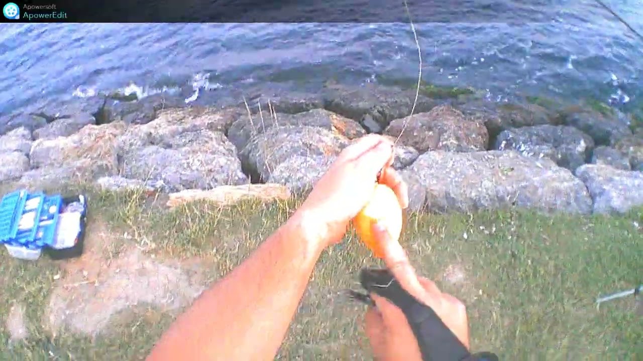 22 июня 2023 г. ДЕНЬ И НОЧЬ. ЛОВИТЕ ЛОШАДИНУЮ СИЛУ