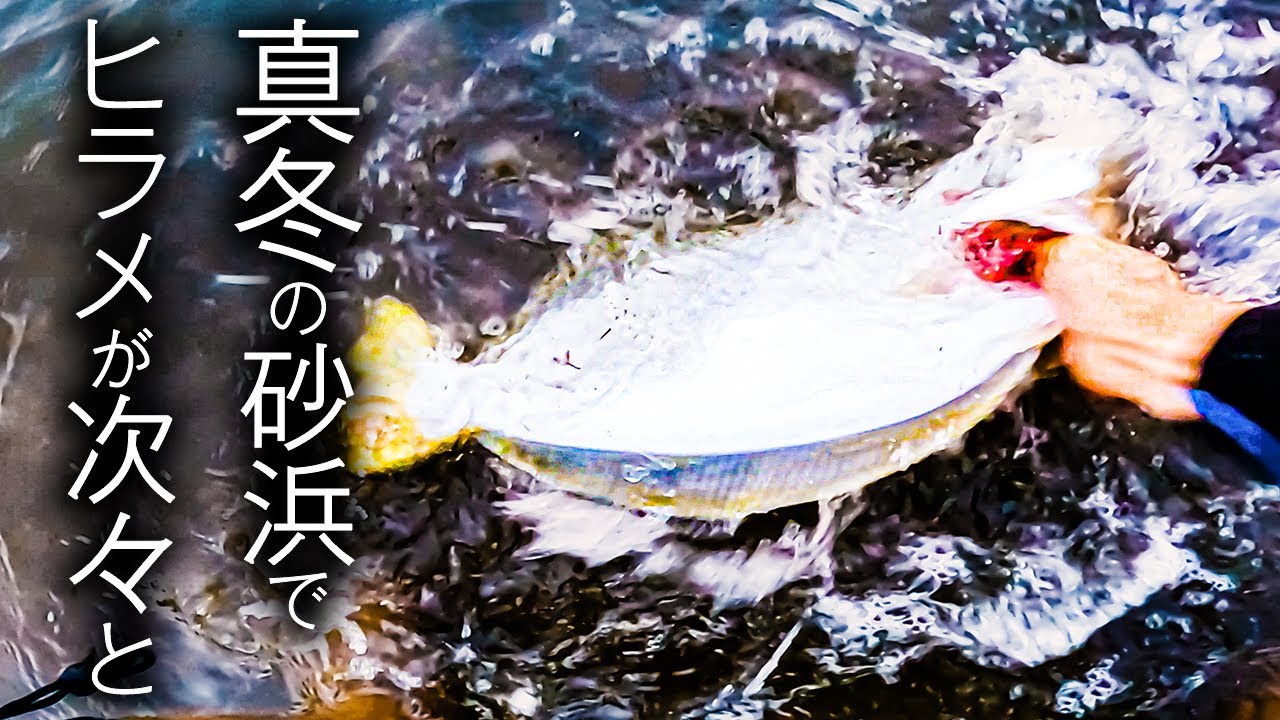 サーフ寒ヒラメを釣る為のルアー選びと釣り方【ヒラメ釣り】
