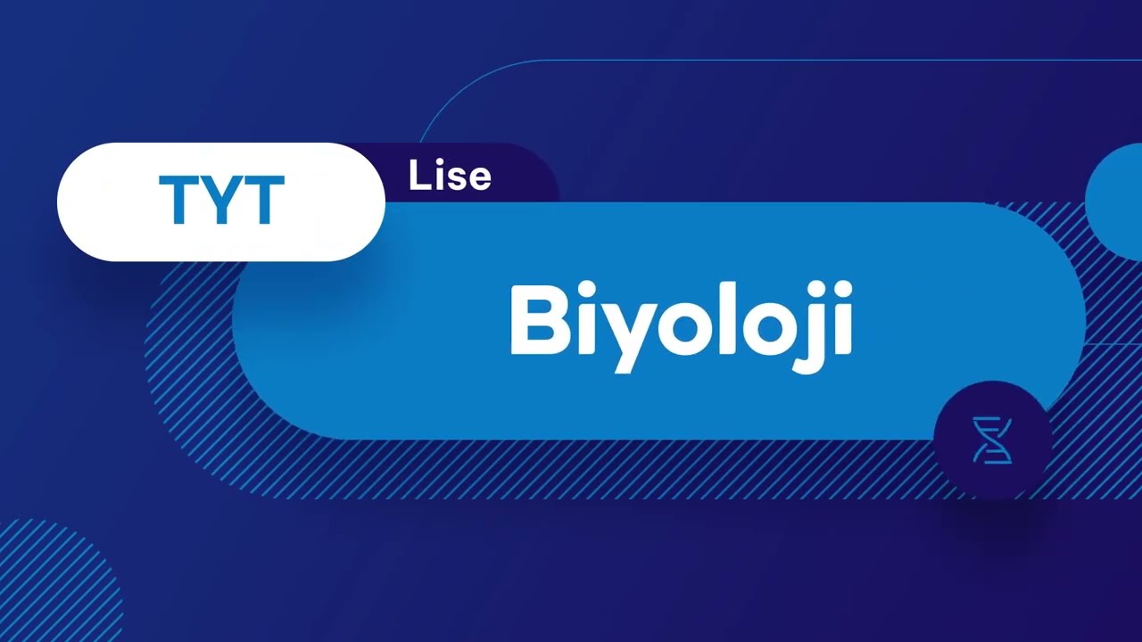 2019 YKS Sınav Soru Çözümleri Biyoloji TYT