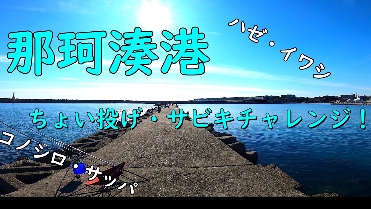 【那珂湊港】年末の茨城でサビキ・ちょい投げ釣り【海釣り】