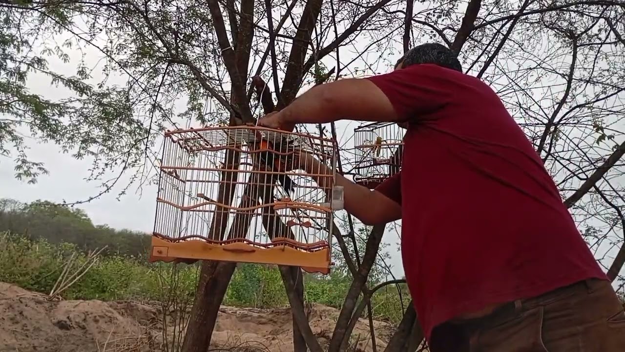 Concriz Emboscada 