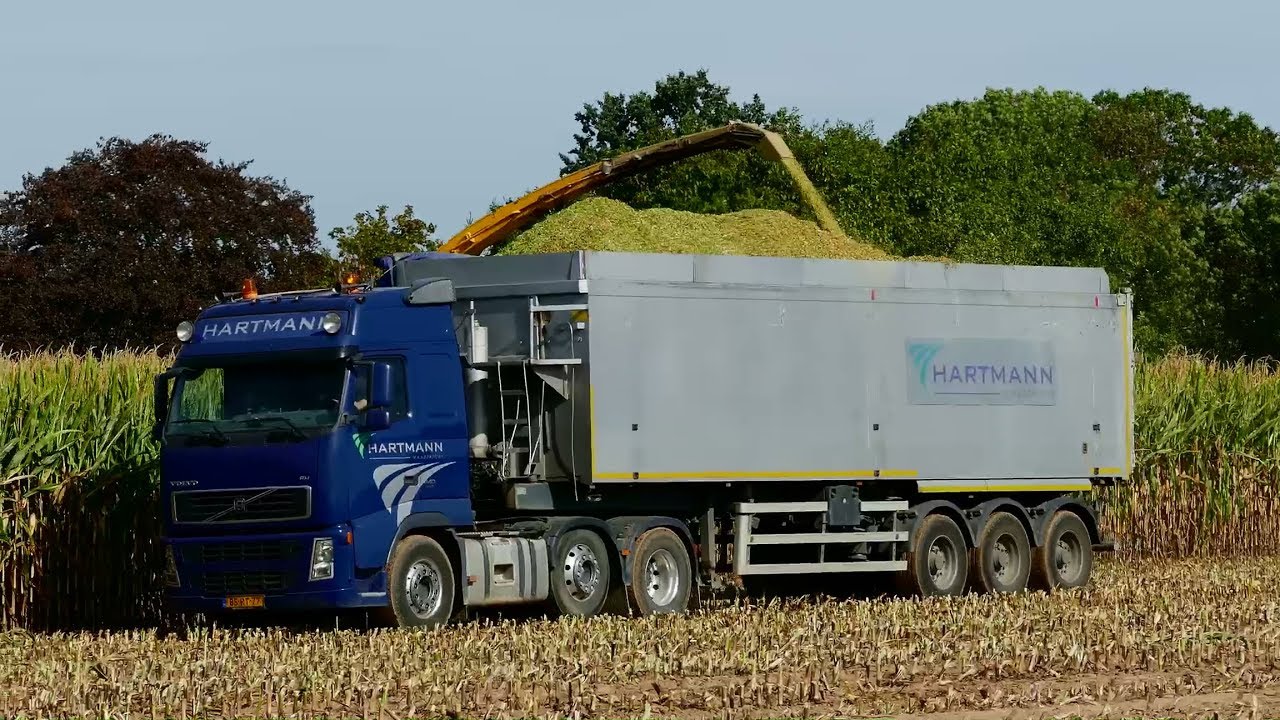 Mais Hakselen 2018 : Part 2 / Loonbedrijf Hartmann / NH FR9060 / Steyr terrus  / Volvo FH440