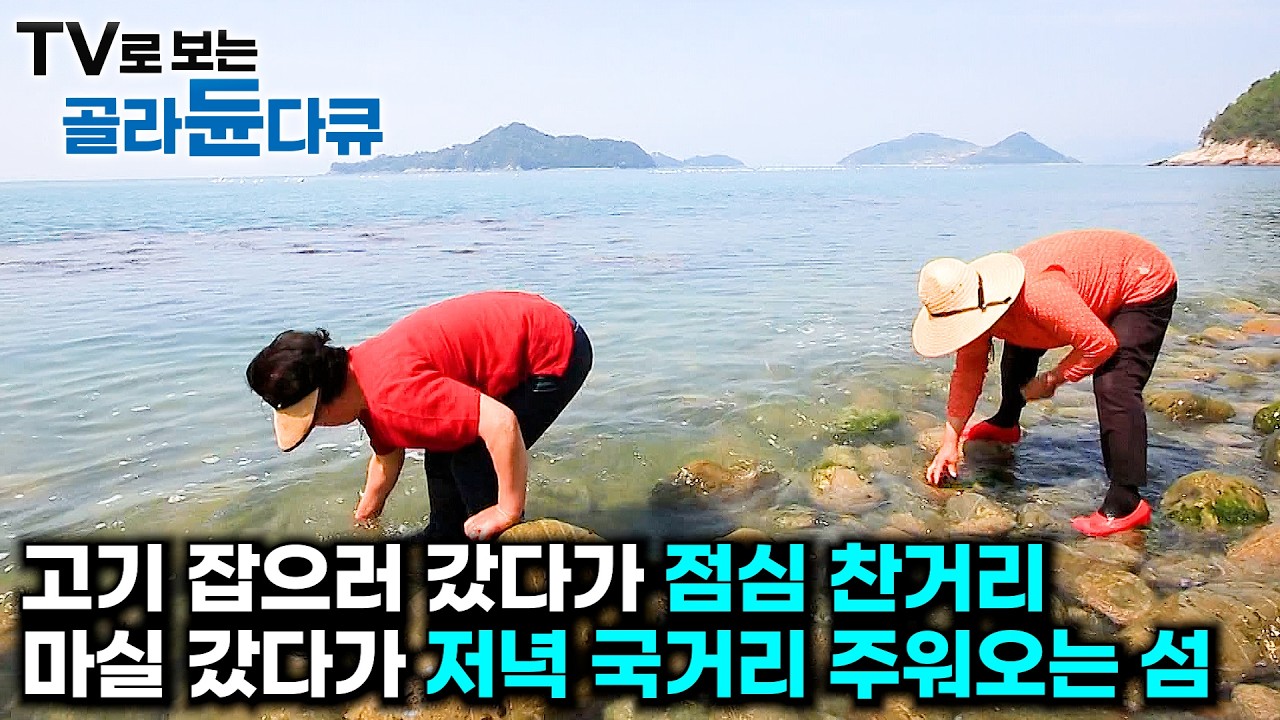 1년 365일 배고플 걱정 없다. 산책 갔다가 싱싱한 놈들 건져오는 바다 사람들 🌊1시간 몰아보기🌊｜한국기행｜#tv로보는골라듄다큐