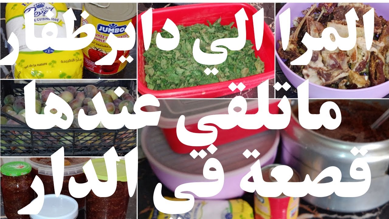 عولة الشتاء كوني كي النملة من الحبة ديري قبة كوني فحلة وديري التاويل اجوبة عن اسئلتكم