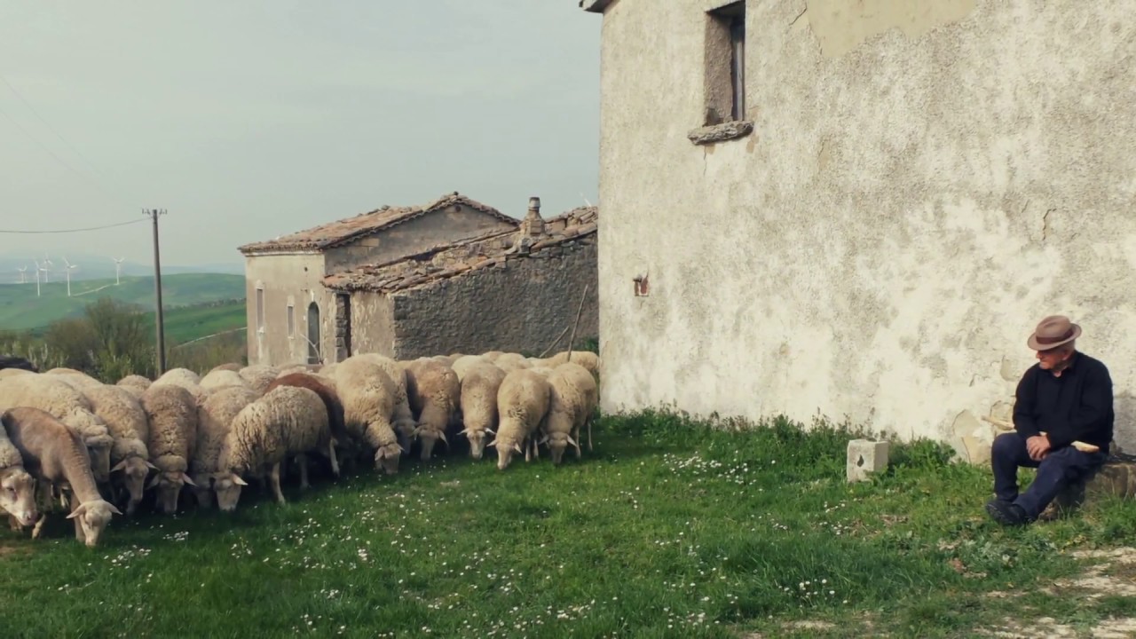 Immagini di vita contadina - Guardia Lombardi