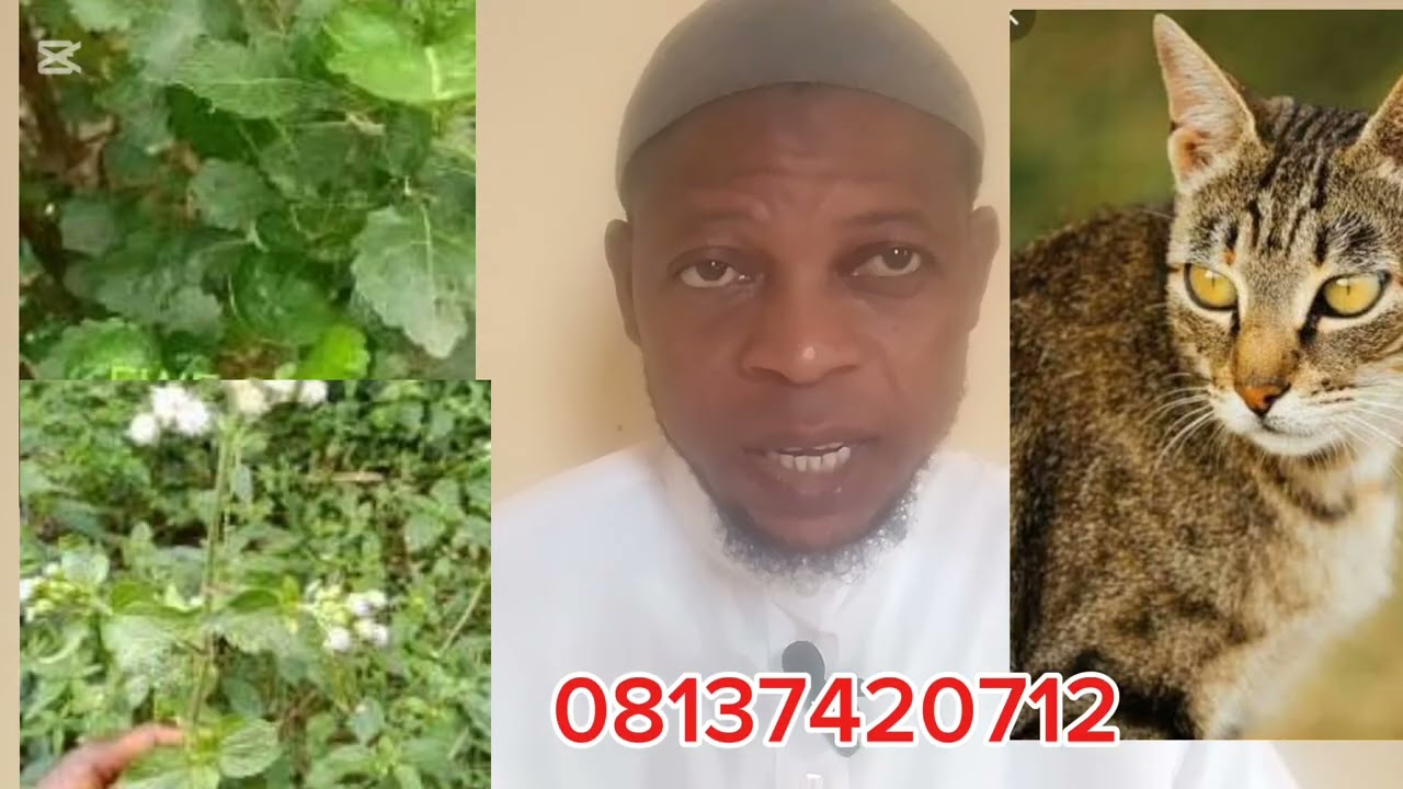 ISETI AWON AGBALAGBA FINTARI OORE NLANLA SI ENIYON 