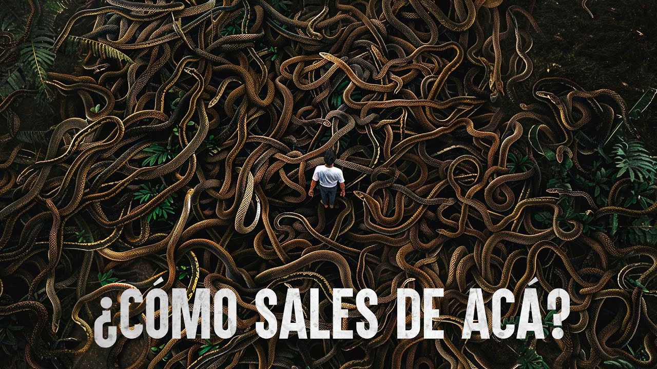 Si llegas a una de estas islas con seguridad NO saldrás completo