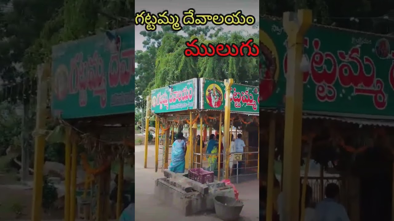 GATTAMMA TEMPLE Mulugu#mulugu #medaram #telangana #ramappa #temple #mulugudistrict #sammakkasarakka