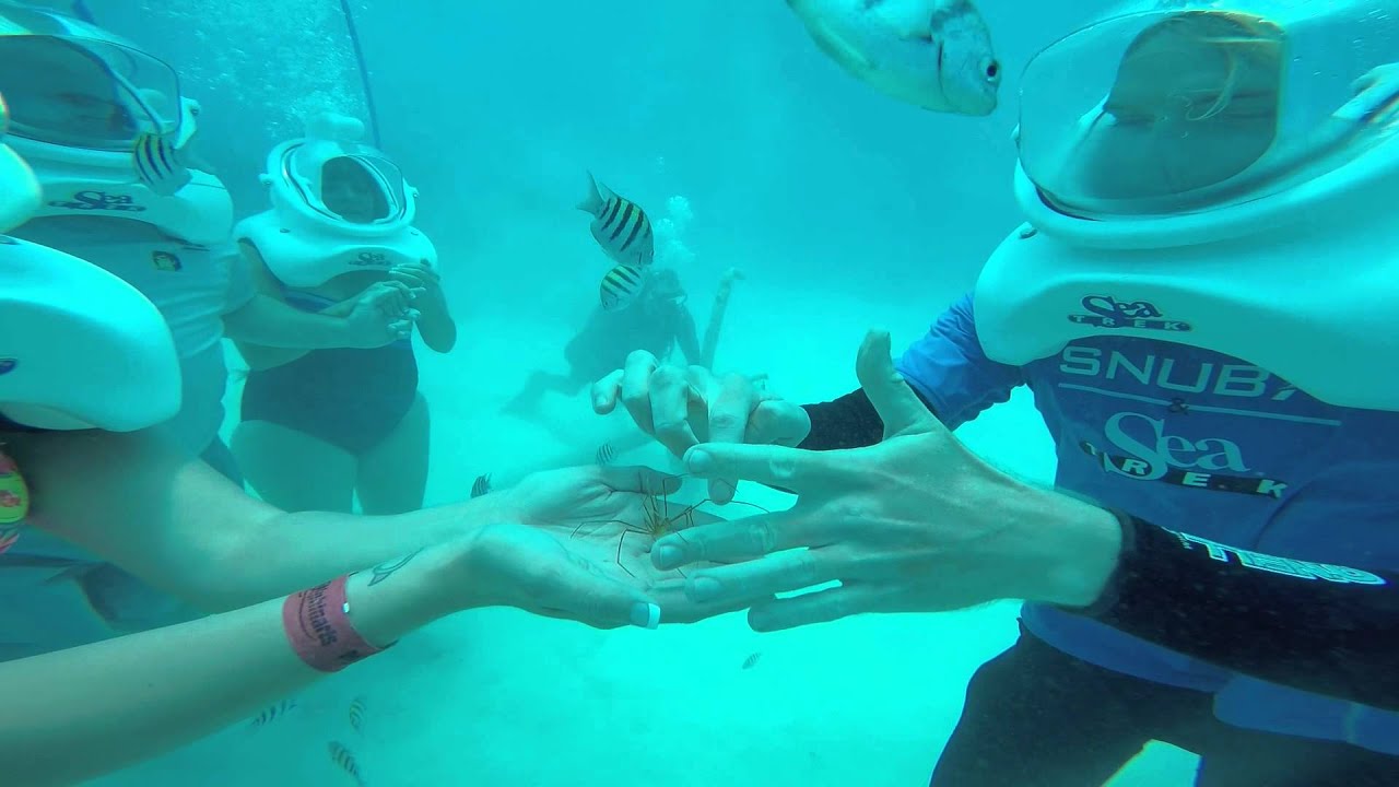 Sea trek Grand Cayman 2015