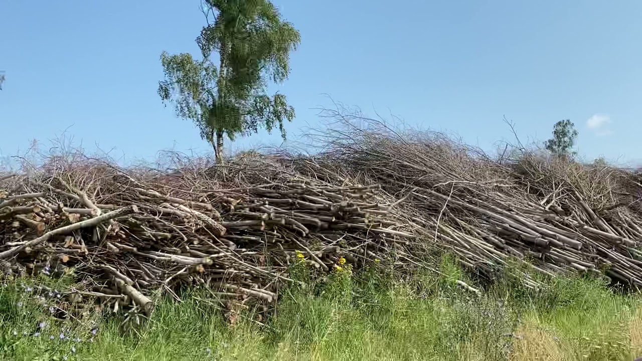 Usewood Log Master Belarus