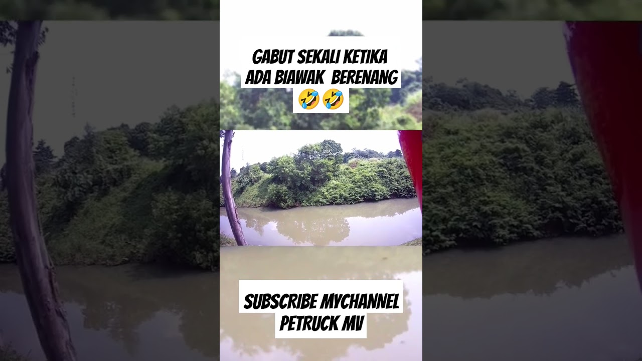 GILEE ADA BIAWAK BERENANG ❓#shorts  #motovlog #maxtom3 #motovlogindonesia