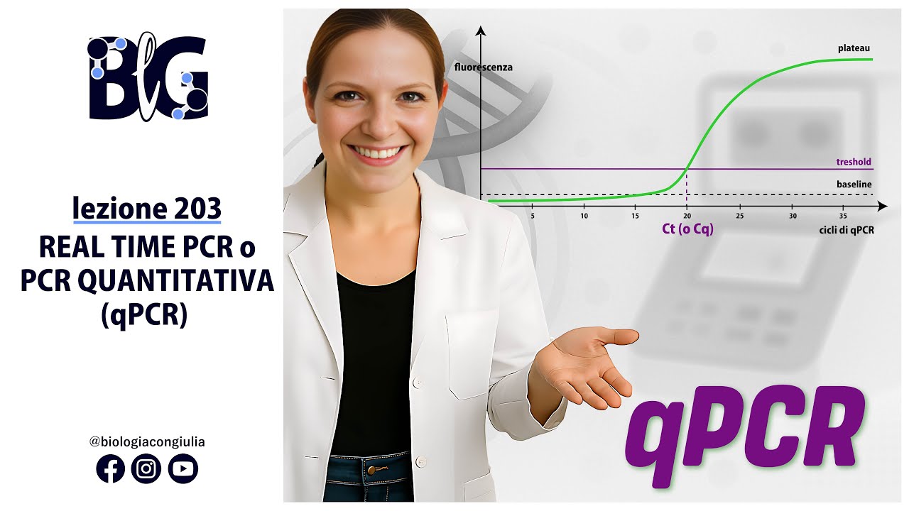 REAL TIME PCR o PCR QUANTITATIVA (qPCR)