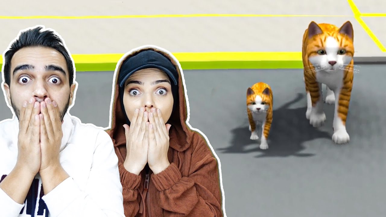 BİR KEDİNİN HAYATI !! 😱 Cat Life Simulator
