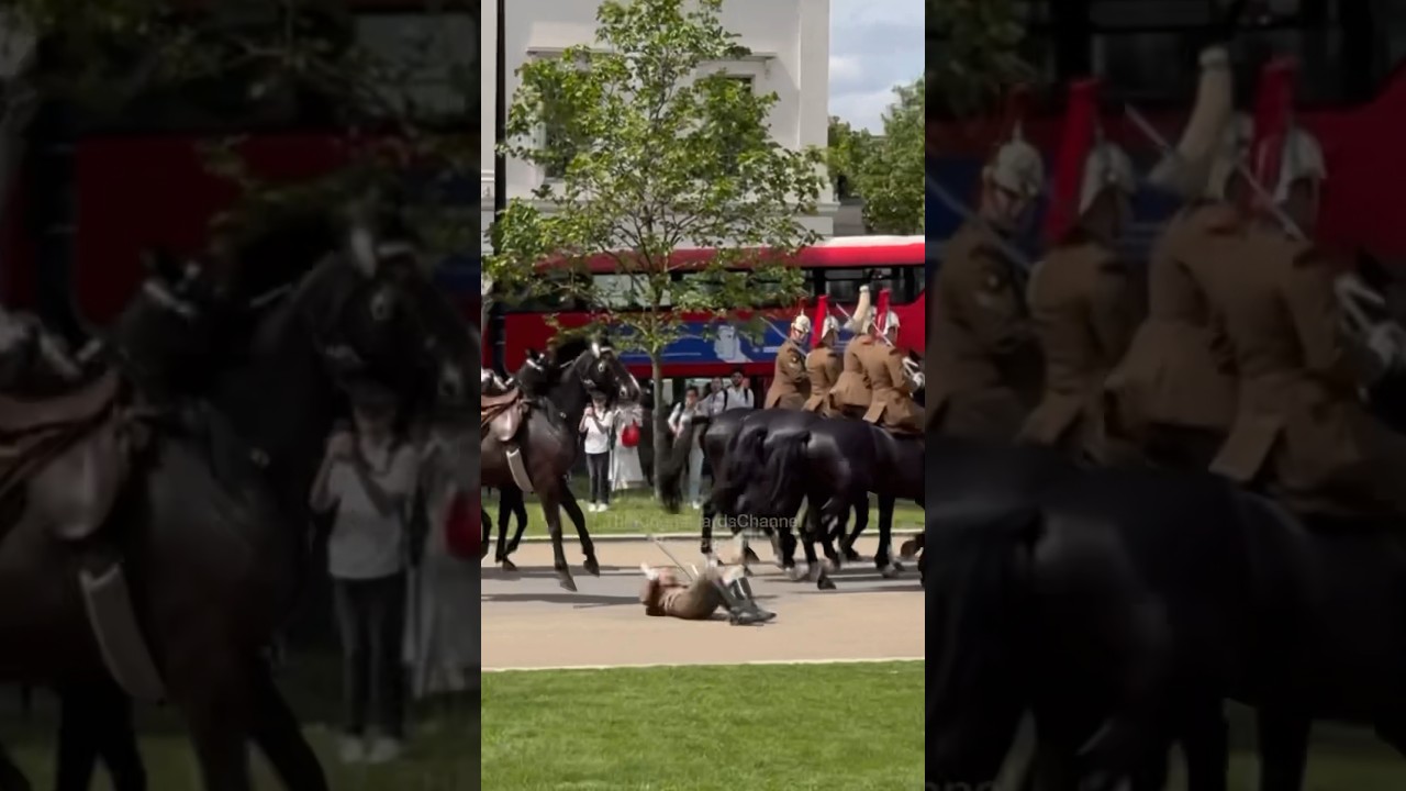 GUARD GETS FLIPPED OFF HORSE 😱 HOPE HE&rsquo;S OKEY! 🙏
