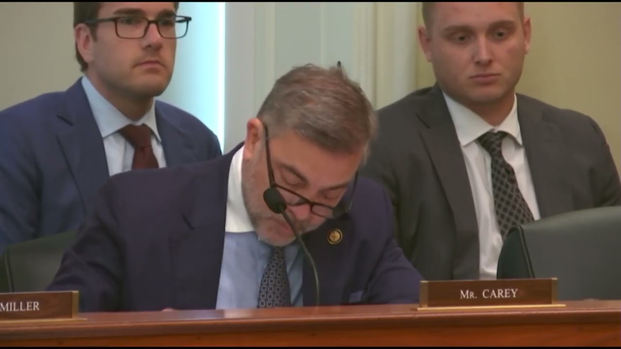 Rep. Carey questions witnesses at voter list maintenance hearing