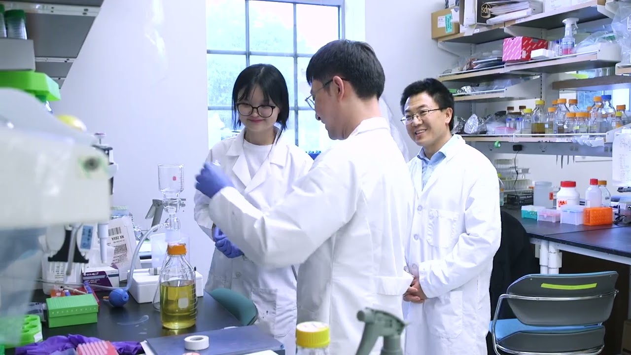 WashU engineers create a circular economy for the rise of bioplastics in the U.S.