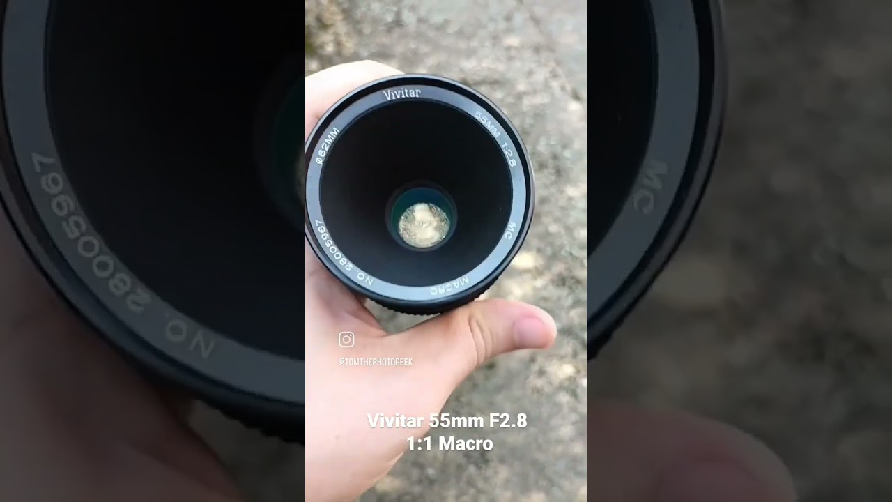 Amazing budget Macro lens with 1:1!