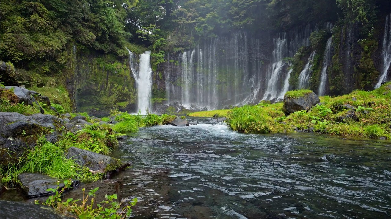 Peaceful Waterfall Sounds 💧🌿 8 Hours | Natural Water White Noise for Sleep, Study & Relaxation