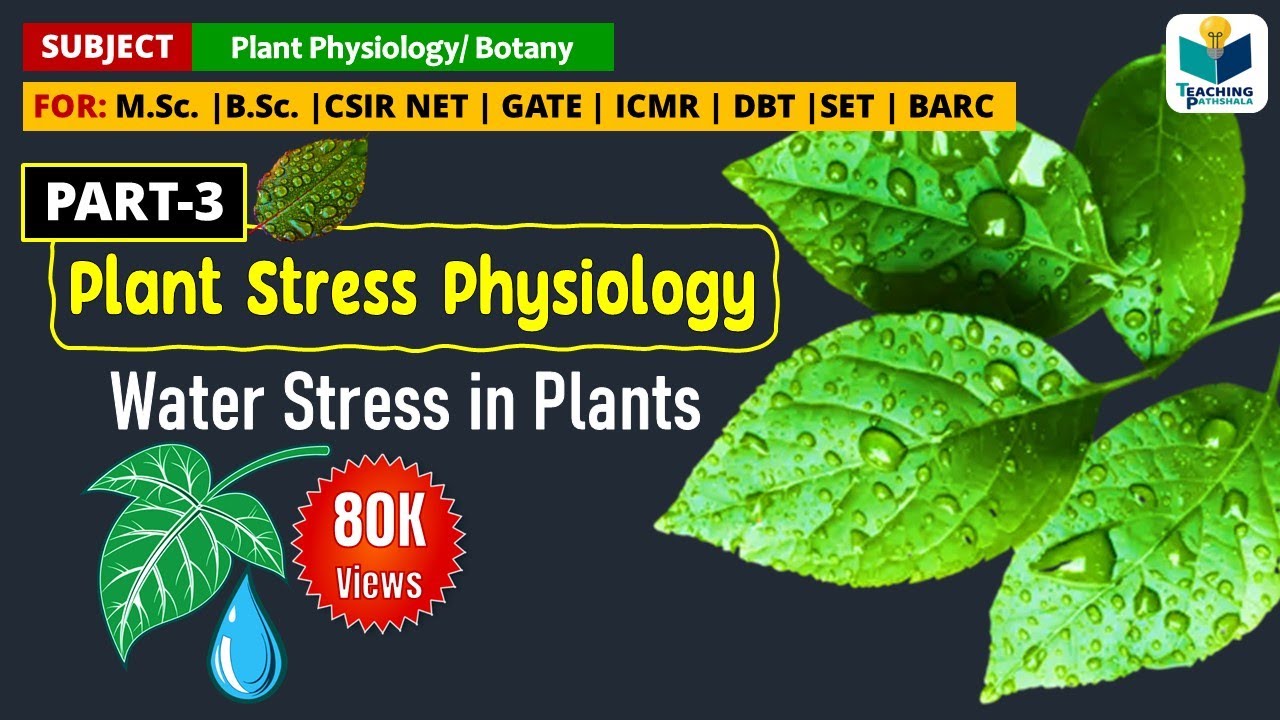 WATER/DROUGHT STRESS IN PLANTS || PLANT STRESS PHYSIOLOGY (PART-3) || CSIR NET