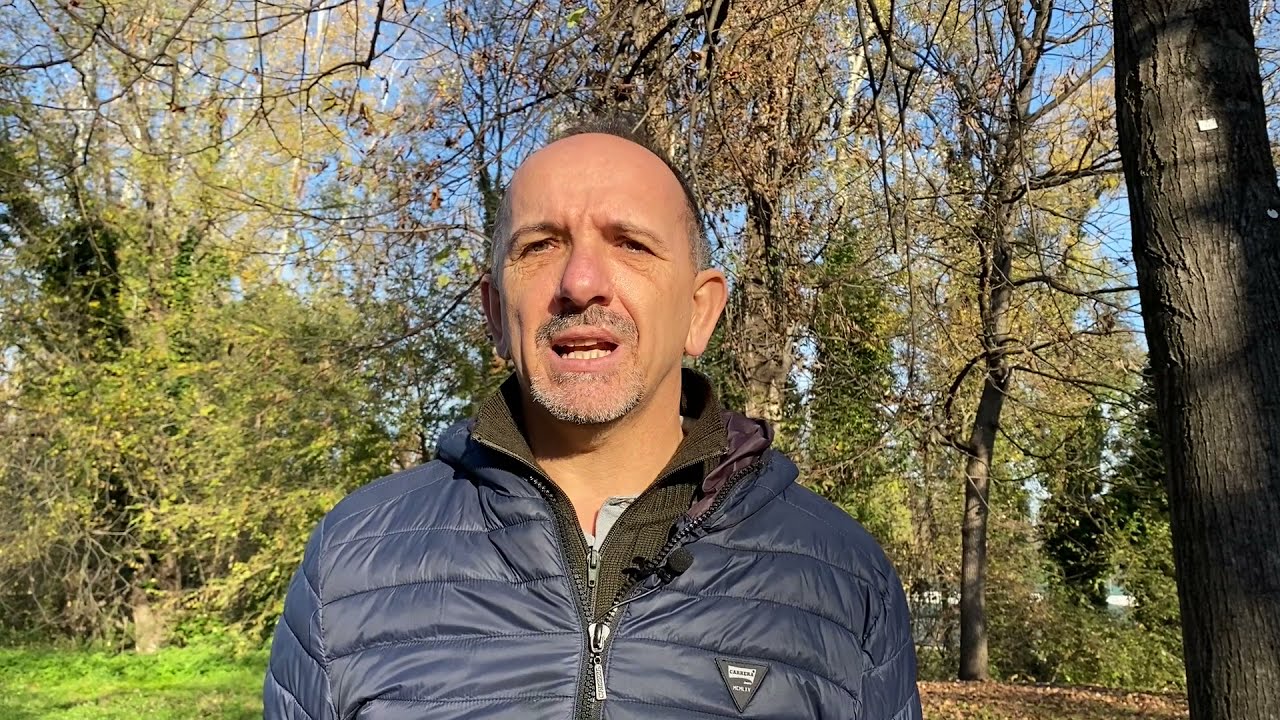 I nemici delle api