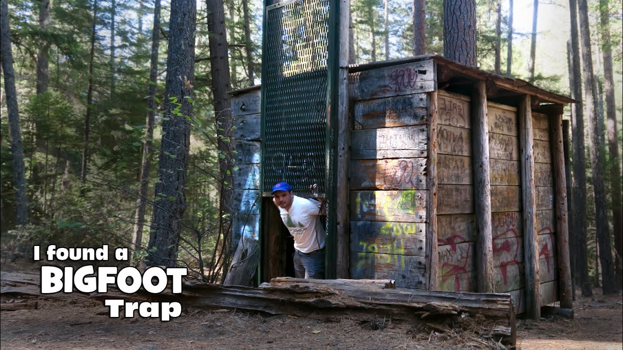 An actual BIGFOOT trap in the Oregon forest