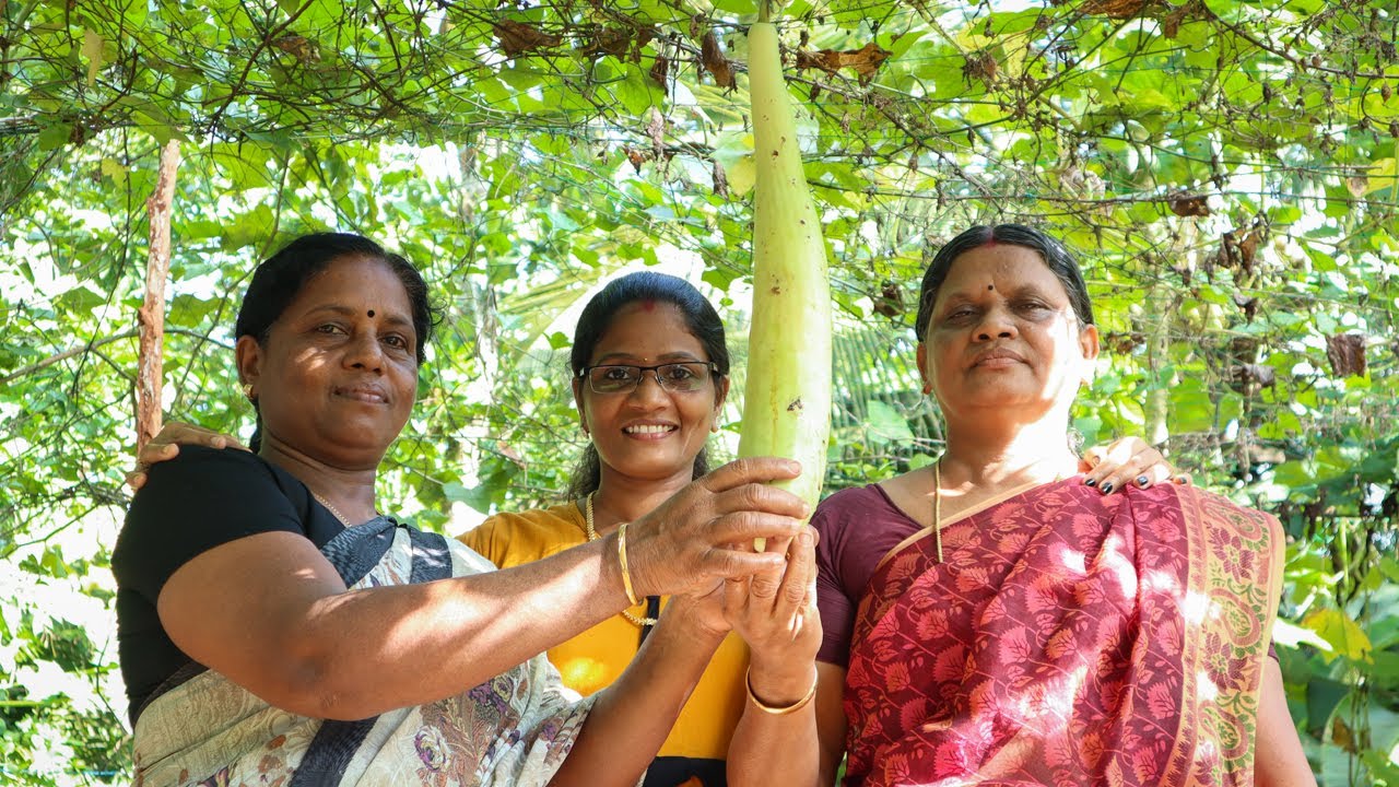 കിഴിശ്ശേരി വീട്ടിലെ അടുക്കളത്തോട്ടവും ചേച്ചിമാരുടെ കൂടെ ഒരു അടാർ വിഭവവും! | Cheerulli Media