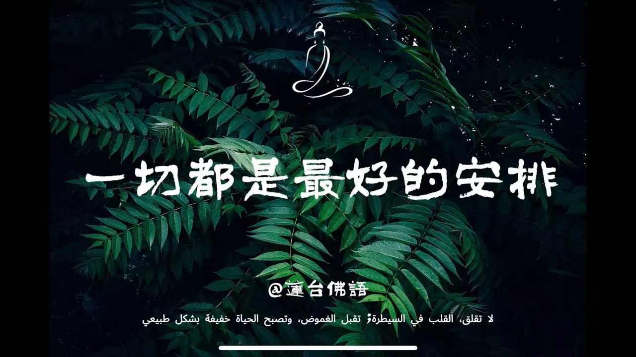 人生真正的轉機，往往發生在你最想放棄的時候#修行 #國學 #人生感悟 #治癒