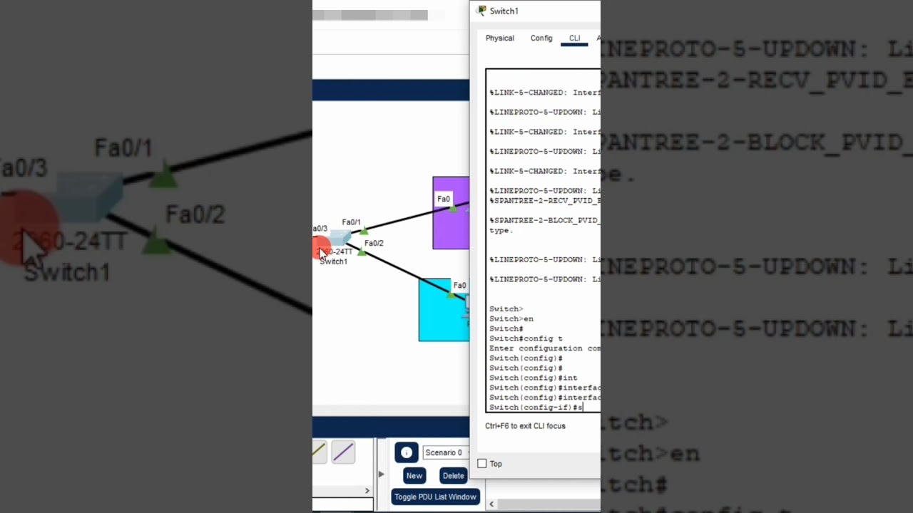 IntreVlan Trunk Link Interface Configuration