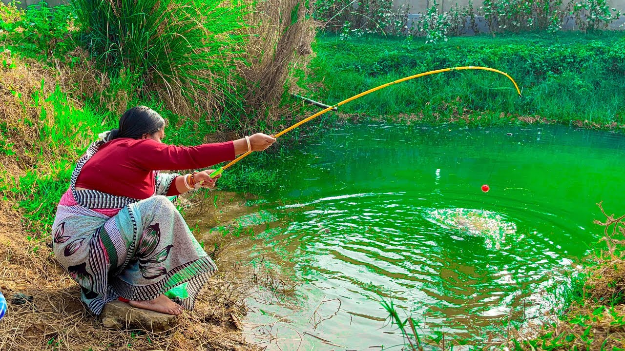 Fishing Video 🎣 || Young Skilled Girl fishing with a hook in the village pond || Best hook fishing