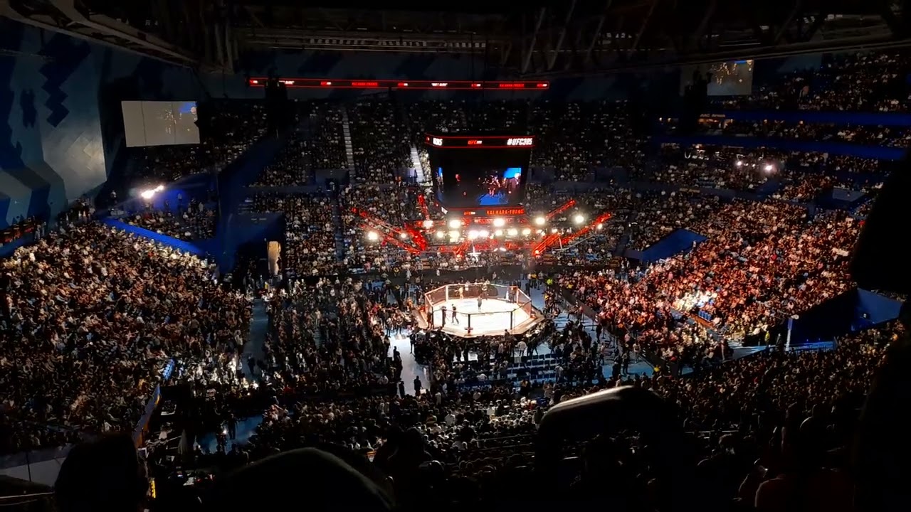 UFC 305 Steve Erceg and Kai Kara France Walkouts