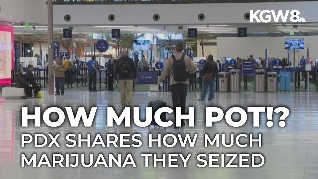 How much marijuana was confiscated at PDX last year?