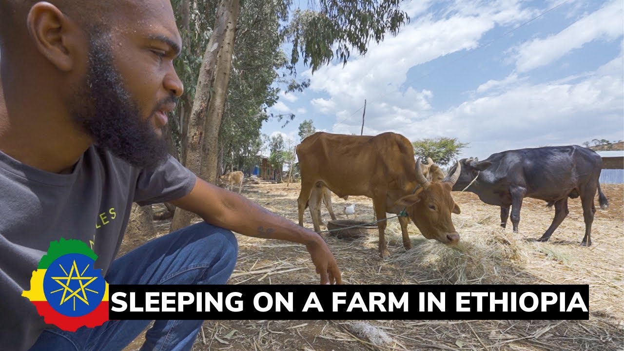 Inside a Village Guesthouse in ETHIOPIA!