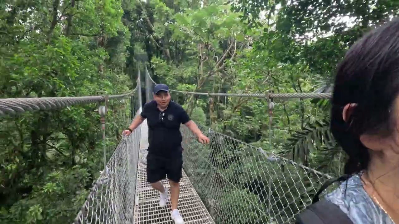 Puentes colgantes, Arenal místico park.💚