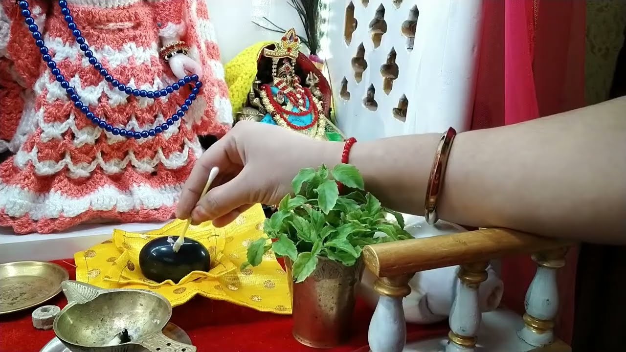 शालिग्राम को स्नान और पूजा कैसे करें ll Radhe Krishna Blessings 🙏