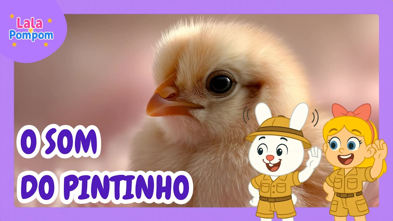 O Som do Pintinho 🐥 | Lala e Pompom
