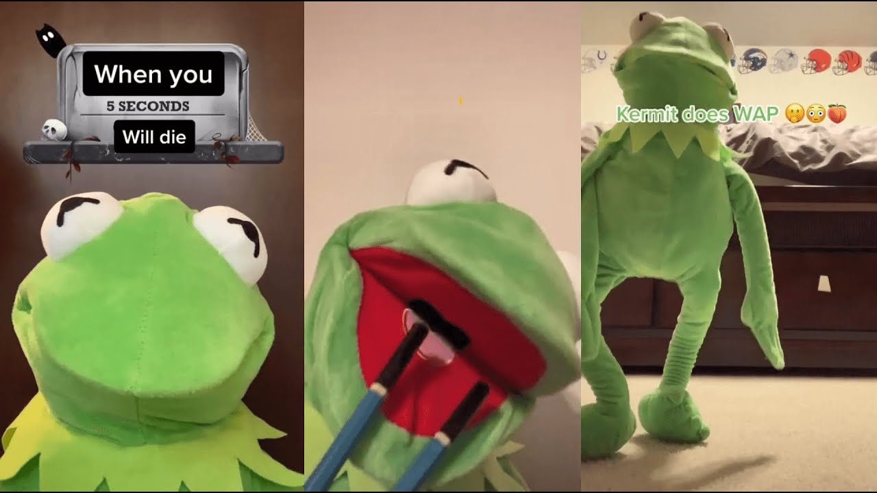 Funny Kermit on TikTok Videos Compilation, Best kermitontiktok 2023