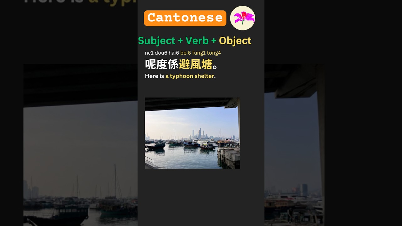 Cantonese Vocab  23: Typhoon shelter 