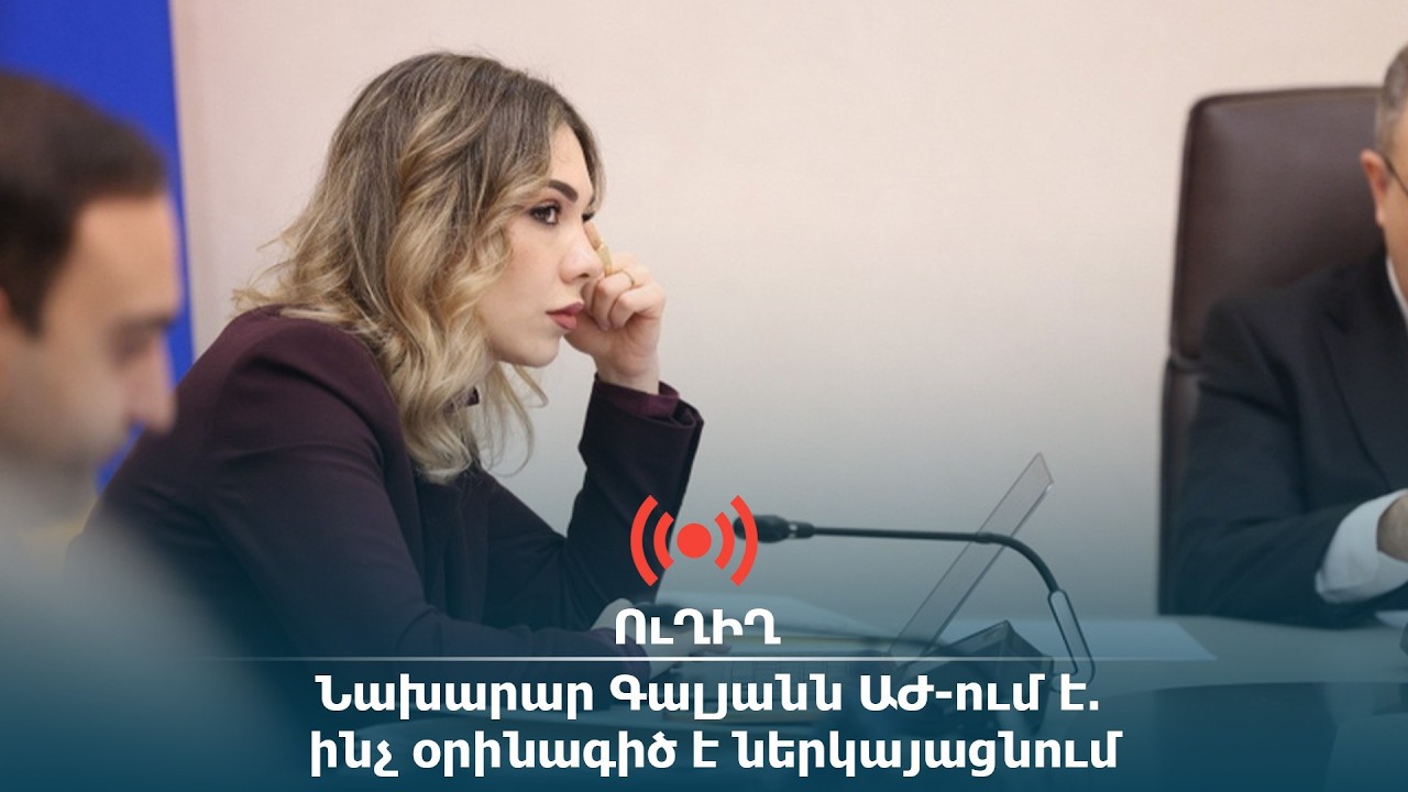 ՈւՂԻՂ․ Նախարար Գալյանն ԱԺ-ում է․ ինչ օրինագիծ է ներկայացնում