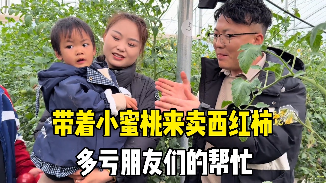 带着小蜜桃来卖西红柿，多亏朋友们的帮忙，玩的特别开心！【老挝媳妇MEE】