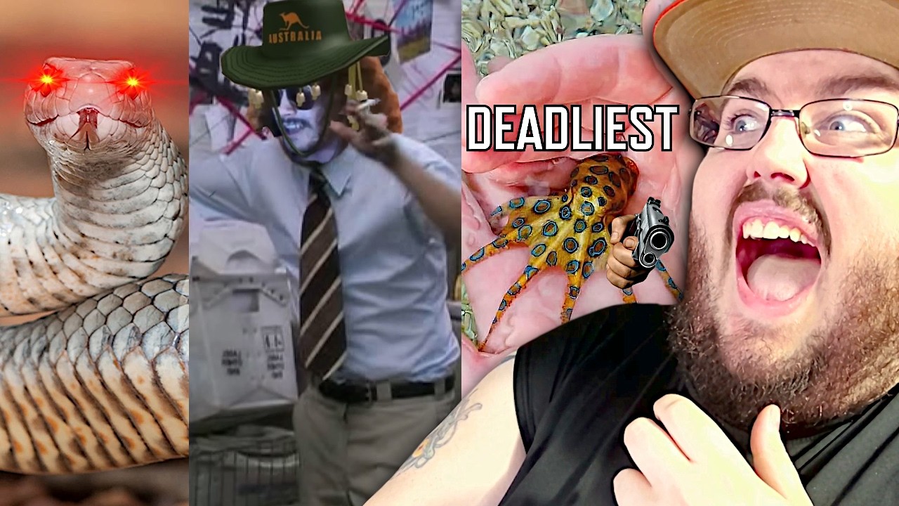 Certified Australia Moments Worlds most LETHAL octopus & DEADLIEST Snail & Snakes More Parz REACTION