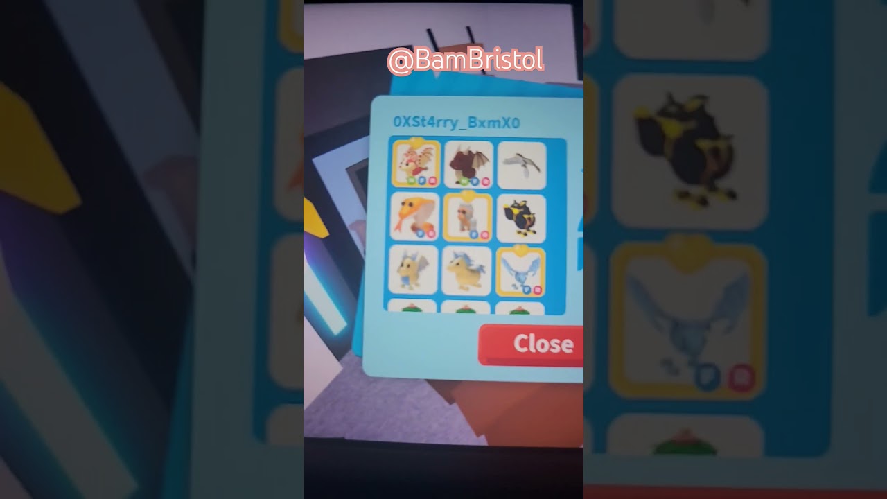 Don't use star pets! I recommend gameflip. #adoptme #edit #roblox