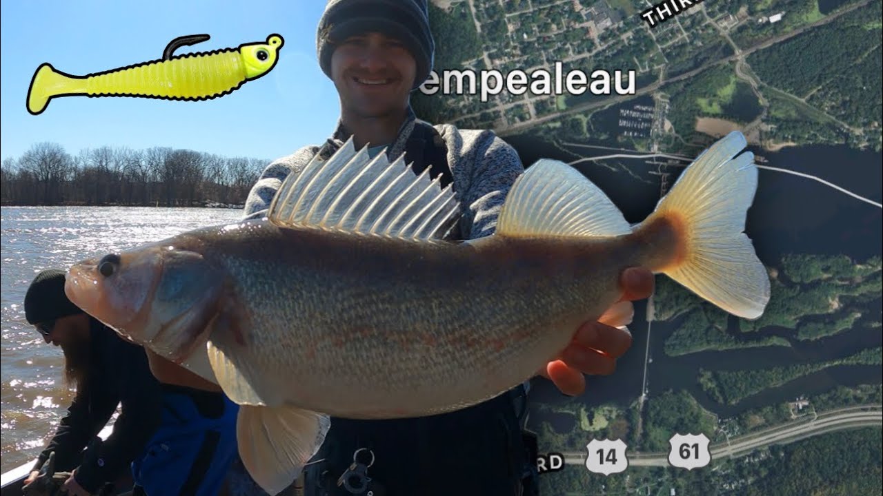 Jigging Mississippi River Walleye!