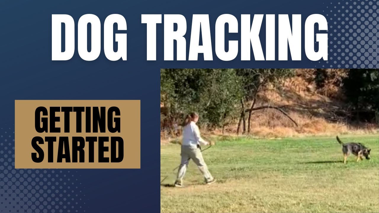 Dog Tracking: Quick Start Guide