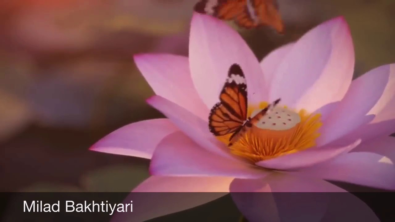 دكلمه شعر: ميلاد بختياري Milad Bakhtiyari