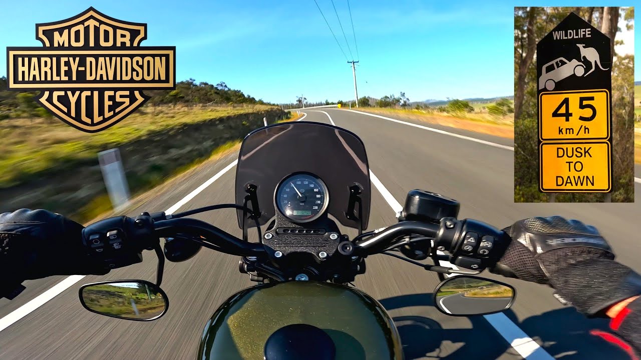 Rock 'n' Roll Ain't Noise Pollution! Harley Davidson Sportster Stage 1 Upgrades! [ FULL 4K VIDEO ]
