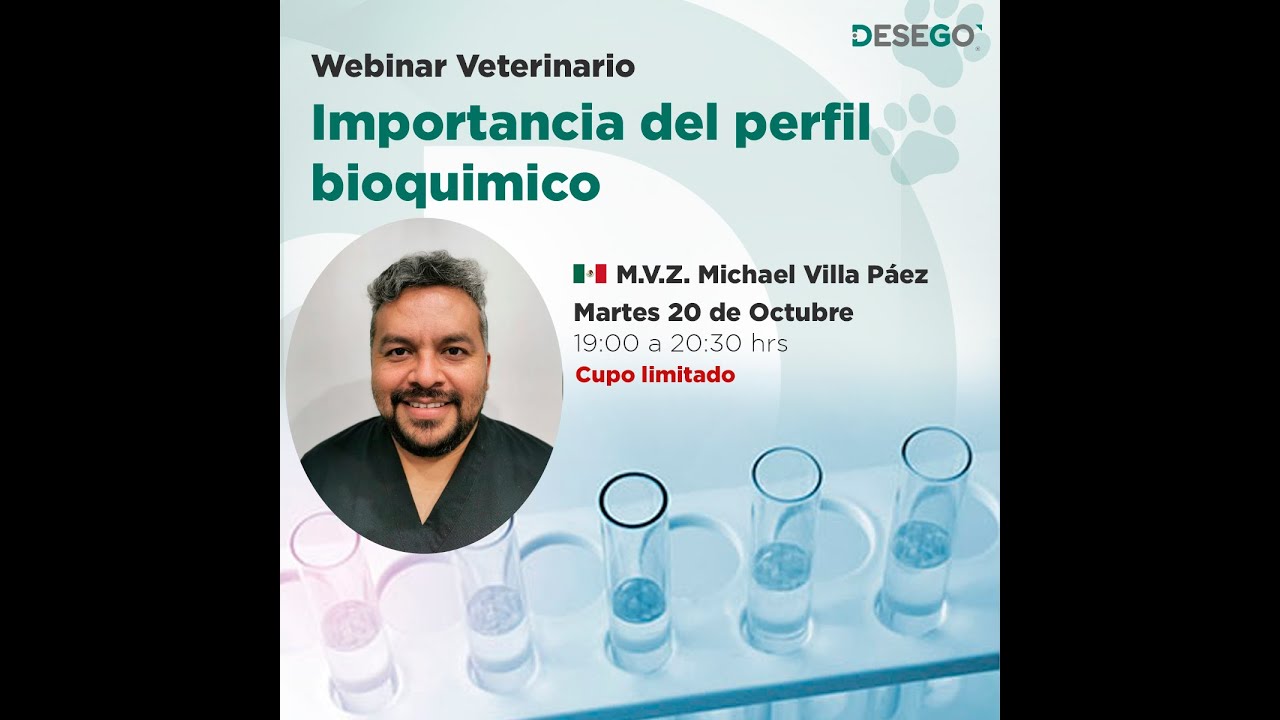 Webinar Veterinario: Importancia del perfil bioquímico