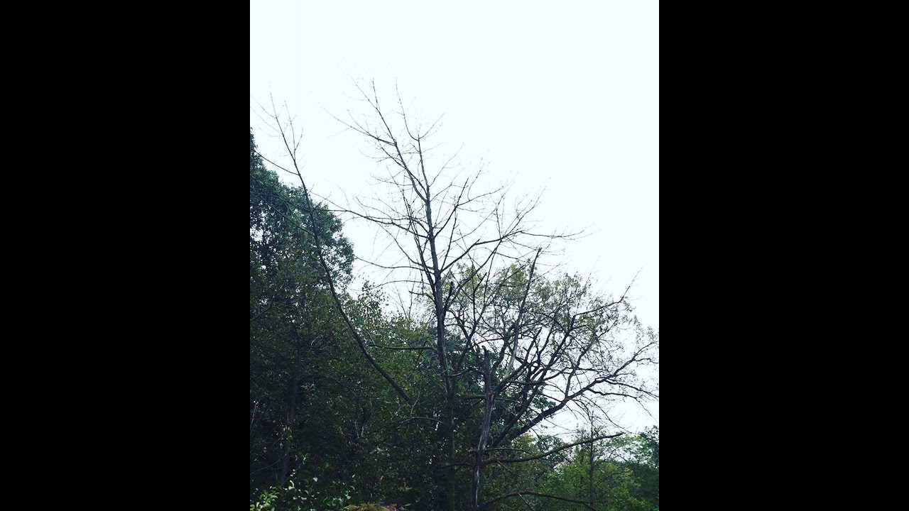 Sadness - Rain