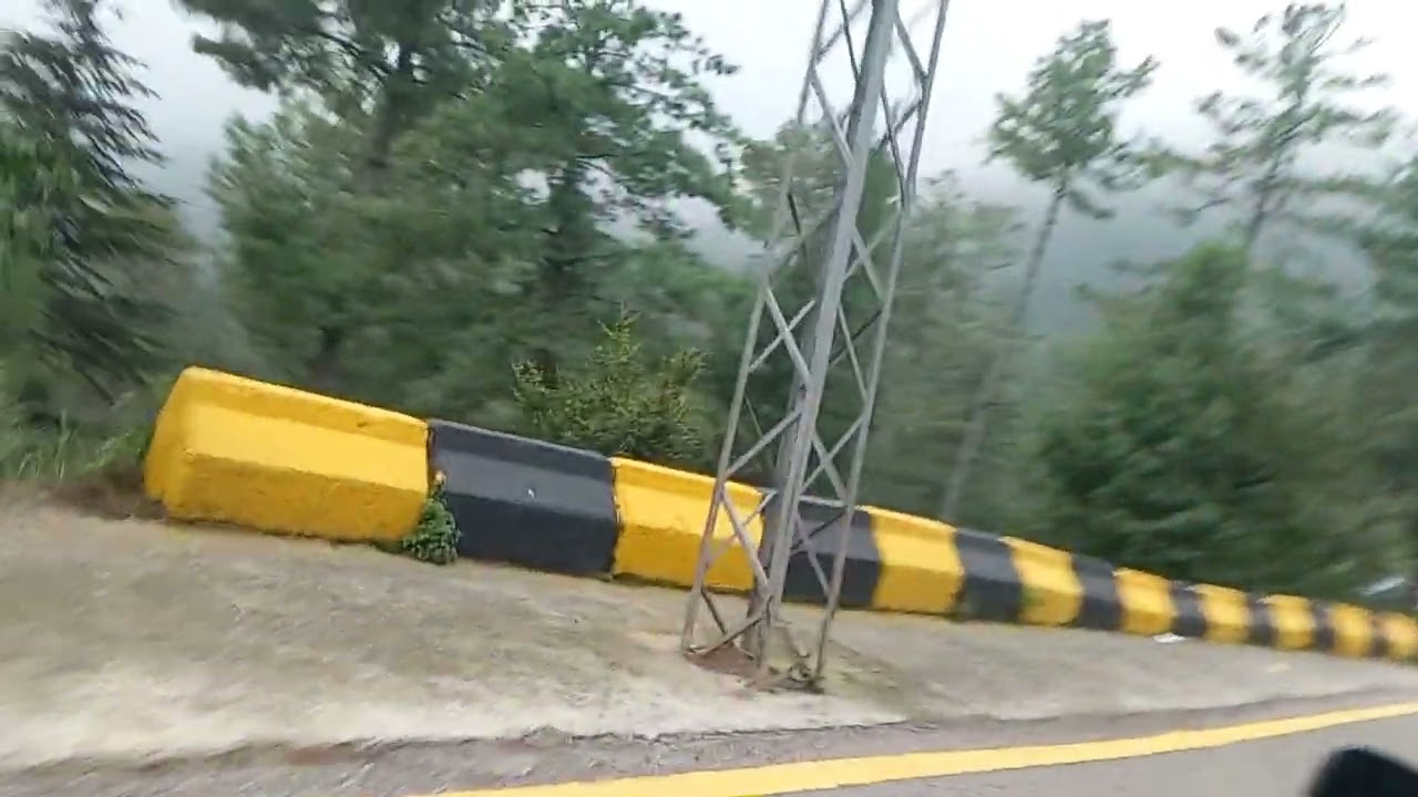 Murree&rsquo;s Green Magic & Breezy Weather 🌲☁️ Collection of beautiful pine trees..