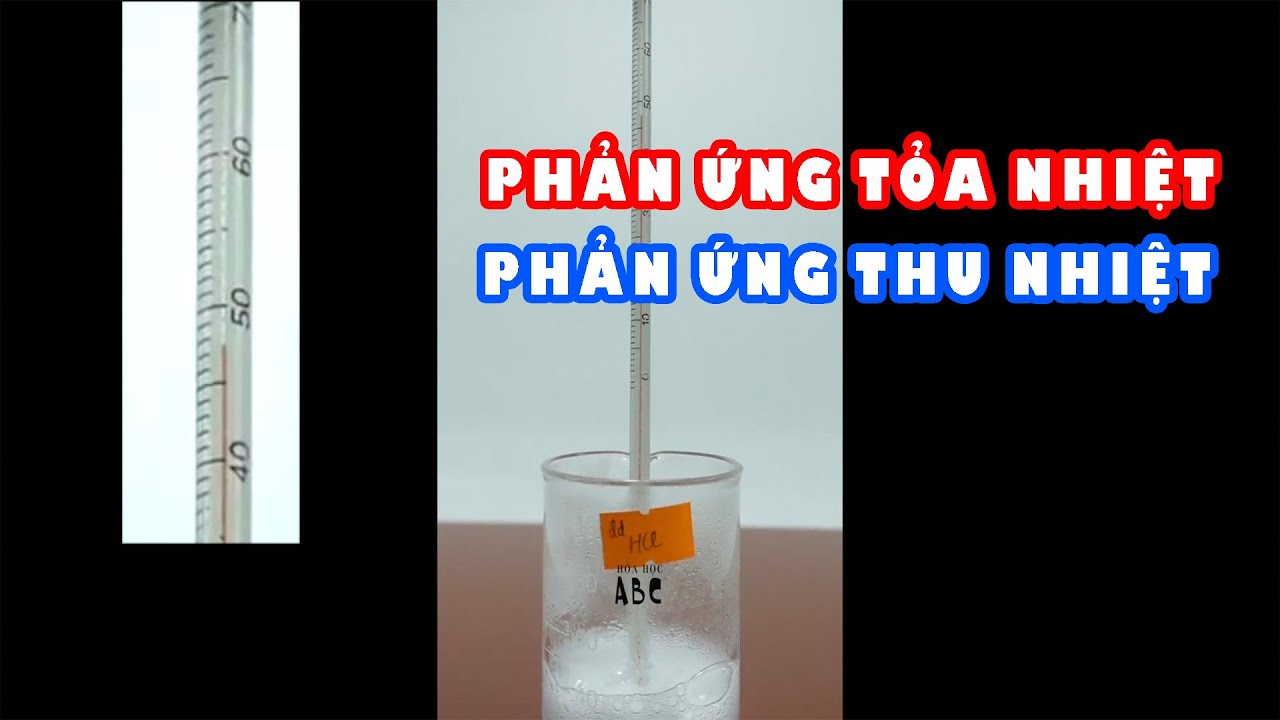 Phản ứng toả nhiệt - Phản ứng thu nhiệt. Exothermic and Endothermic Reactions