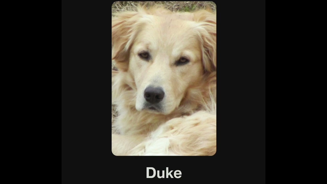 Duke - NEW original tribute country song by The Lively Stones 